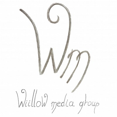 Videographer Alexandr Kolmakov