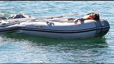 Videographer Oleg Drach from Bar, Montenegro - Andrey & Svetlana (Love story), engagement