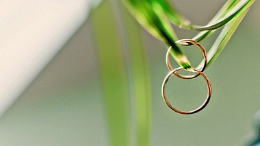 Βιντεογράφος Андрей Алексеев από Τολιάτι, Ρωσία - Александр и Ольга, wedding