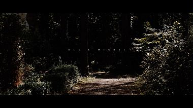 Videographer Wedding ArtStudios from Varsovie, Pologne - Ola & Michał 21/07/2018, wedding