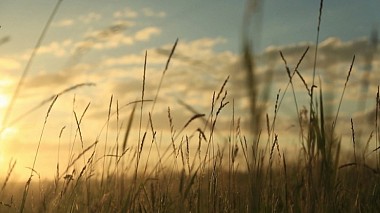 Astana, Kazakistan'dan Дмитрий Ли kameraman - Daulet & Alena, düğün, nişan