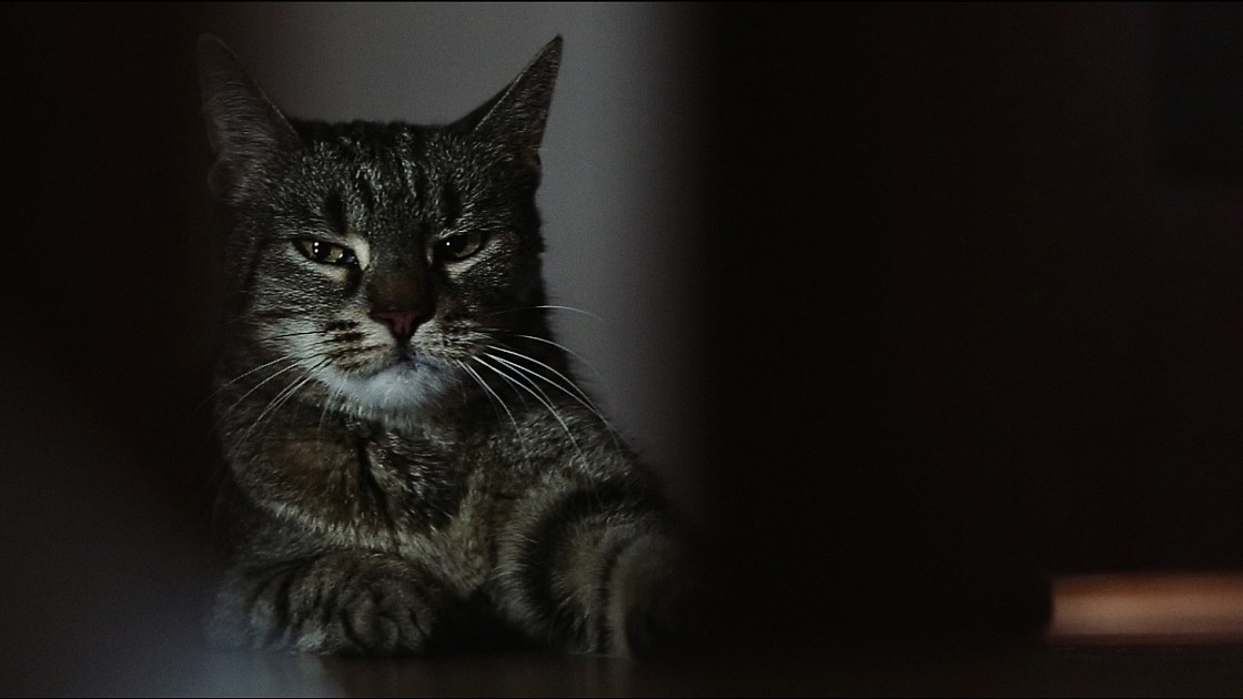 MArry Me Studio - Warsaw wedding Zacisze Pomiechówek