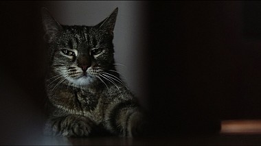 Videographer Marry Me Studio from Warsaw, Poland - MArry Me Studio - Warsaw wedding Zacisze Pomiechówek, engagement, musical video, wedding