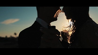 Videographer Cristi Coman from Pitesti, Romania - L & R - wedding day, wedding