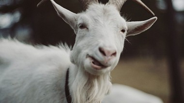 Videographer Khlyustov Films from Moskva, Rusko - Nargis &  Dariya || SDE, SDE