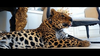 Moskova, Rusya'dan Welcome Films kameraman - Видеопроект "Утро Невесты" (WELCOME FILMS), düğün, etkinlik, nişan