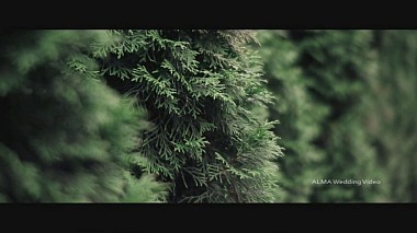 Βιντεογράφος ALMA Wedding Video από Μινσκ, Λευκορωσία - Wedding: Tatiana & Andrew, wedding