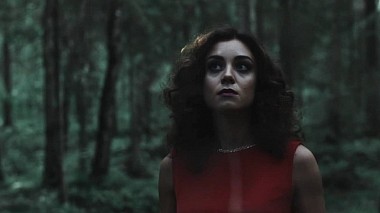 Videografo Artjom Kurepin da San Pietroburgo, Russia - Twilight love story, engagement