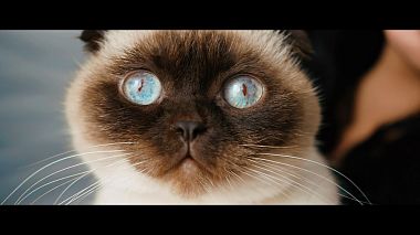 Videógrafo Oleg Krivko de Dnieper, Ucrânia - Mikhail & Yana (trailer), wedding