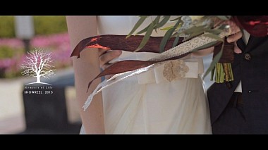 来自 下诺夫哥罗德, 俄罗斯 的摄像师 Dmitry Tolchenov - WEDDING SHOWREEL 2015, showreel