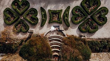 Videographer Desire Studio from Čenstochová, Polsko - MAGIC WEDDING, engagement, reporting, wedding