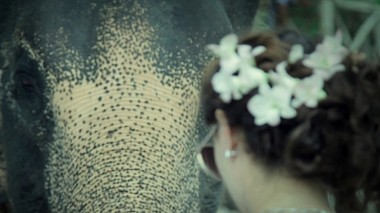 Videógrafo Vlad CORNELIUS de Moscú, Rusia - Highlights of the wedding day of Monika&Przemyslaw Drwal, wedding