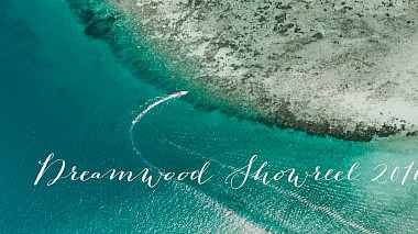 来自 明思克, 白俄罗斯 的摄像师 Dreamwood Cinematography - Dreamwood Wedding Showreel - 2016, engagement, showreel, wedding