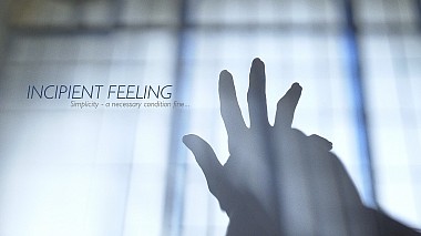 Videographer ALEKSEI PTITSA from Moskau, Russland - INCIPIENT FEELING, wedding