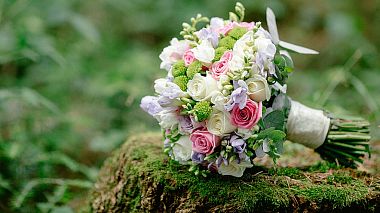 Videographer Vasyl Oliynyk from Ivano-Frankivsk, Ukrajina - Владислав та Ліна, drone-video, event, musical video, wedding