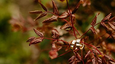 Videographer Vasyl Oliynyk from Ivano-Frankivs'k, Ukraine - Шоурил, backstage, drone-video, engagement, showreel, wedding