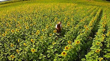 Videografo Stepan Vivsajnyk da Ivano-Frankivs'k, Ucraina - Love Story Олександр & Анастасія, engagement