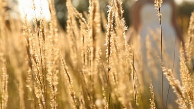 Videographer Oleg Fomichev from Moskau, Russland - Ivan & Vera, wedding