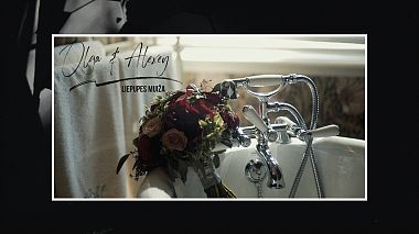 Videographer Andrew  Gulko from Riga, Latvia - Olga & Alexey // Liepupe, Latvia, drone-video, humour, wedding