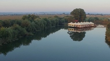 Videographer Darius Cornean from Oradea, Romania - Alin & Alexandra - Teaser, wedding