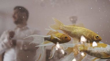 Videographer Darius Cornean from Oradea, Romania - Adi & Anamaria {Wedding Day}, SDE, drone-video, engagement, wedding