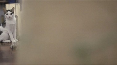 Videographer Bia Vasconcelos from Rio de Janeiro, Brazil - The Bunker's Whiskers - Bigodes do Bunker, corporate video