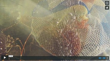 Videographer Chrisovalantis Skoufris from Atény, Řecko - PortoAntico :-: 2015, advertising, drone-video