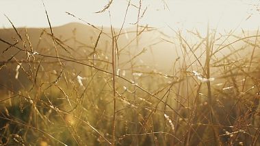 Videographer Oleg Zayanov đến từ LOVE STORY \\\ LAGUNA BEACH WILDERNESS PARK, engagement