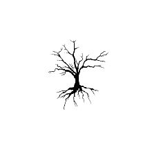 Videographer Dima Muratov