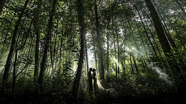 Videographer Alexander Znaharchuk from Prag, Tschechien - French wedding film: Trevor & Dominique // Chateau Сhallain, wedding