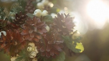 Videographer Nikolay Stupin đến từ Mey wed, wedding