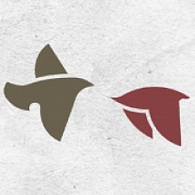 Videographer Bendito Seja Filmes