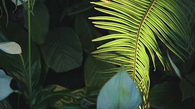 Βιντεογράφος Niewinni Czarodzieje από Βαρσοβία, Πολωνία - A&N, wedding