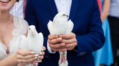 Videographer Gizetdinov Studio from Kazan, Russia - Sweet wedding. Highlight Bulat & Leysan, SDE, drone-video, event, musical video, wedding