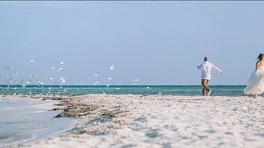 Видеограф Al Agua Weddings, Маями, Съединени щати - Vanessa + Ricardo (Venezuela), wedding