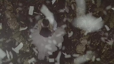 Videographer Al Agua Weddings from Miami, FL, United States - Linda + Daniel (Capcana, Dominican Republic), wedding