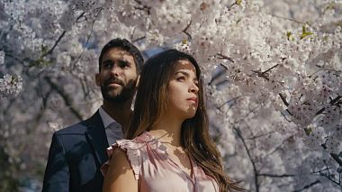 Videographer Al Agua Weddings from Miami, FL, United States - Ana + Gerardo (Miami-Washington), wedding