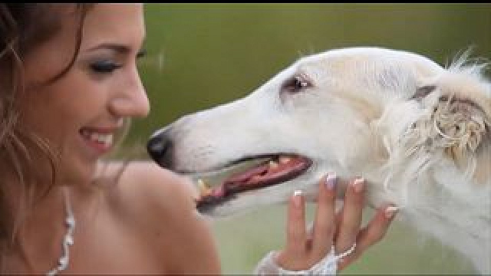 Alexey and Alisa. SDE