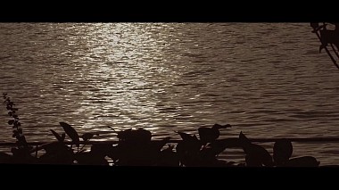 Videographer Eduard Gheorghita (Wed Runners) from Brasov, Romania - C + C Wedding Résumé, engagement, event, wedding