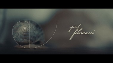 Видеограф Shaxzod Pulatov, Ташкент, Узбекистан - WeddingReel_Fibonacci, event, wedding