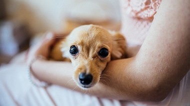 Filmowiec STAKSTUDIO z Mińsk, Białoruś - Свадьба Сергея и Анны (Минск), engagement, event, wedding