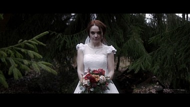 Videographer Sergei Checha from New York City, USA - Dmitry & Irina, SDE, engagement, wedding