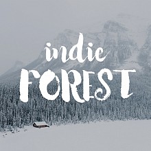 Videographer Indie Forest