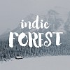 Videographer Indie Forest