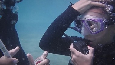 Videographer Perfect Wedding from Štip, Severní Makedonie - TANJA & IGOR (Love Story), engagement, wedding