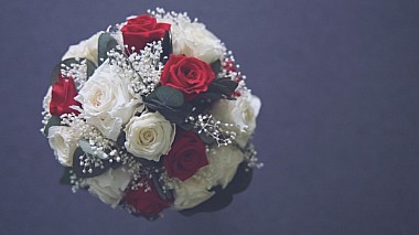 Videographer Tomás Cristóbal from Calahorra, Spain - Trailer Enrique y Verónica, wedding