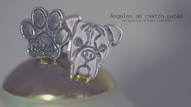 Видеограф Tomás Cristóbal, Калаорра, Испания - Ángeles de cuatro patas, свадьба
