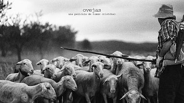 Videographer Tomás Cristóbal from Calahorra, Spain - Ovejas, wedding