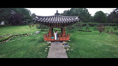 Videographer Alexandr Roshin from Toronto, Kanada - Hayk & Anush l Awesome Wedding, wedding