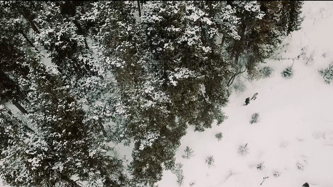 Love story Kyle & Kuralay